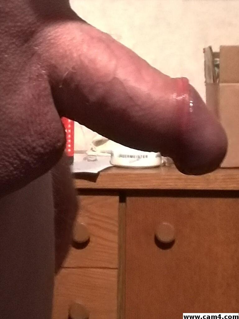 Steifer schwanz bilder