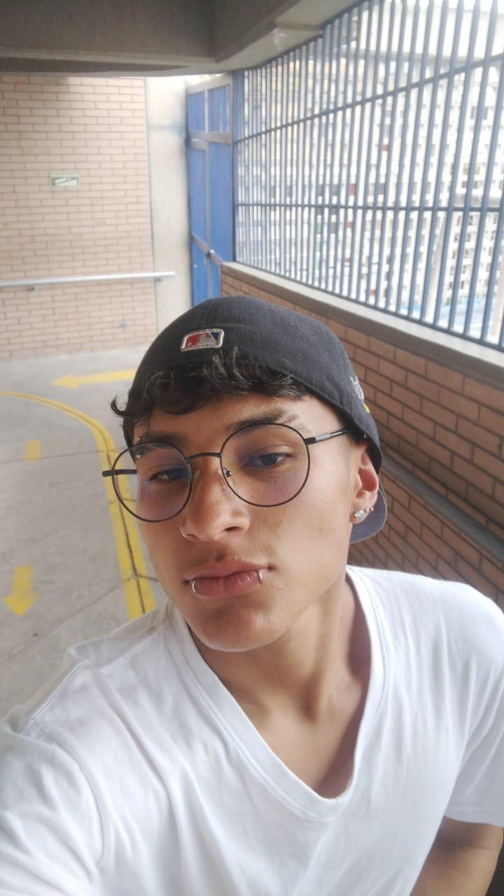 Bastian_wolf_ webcam model