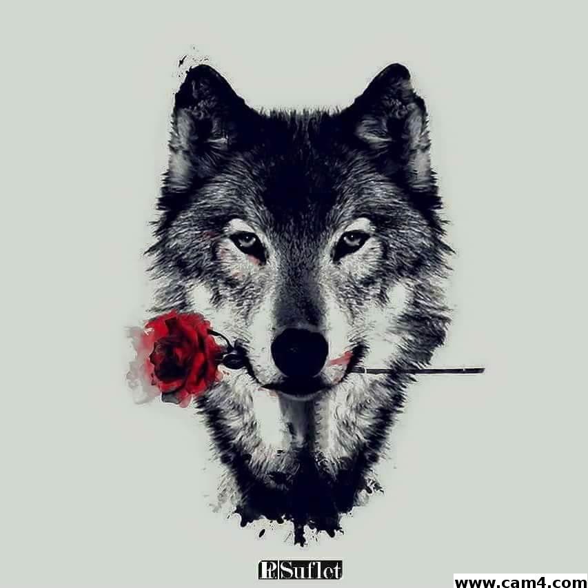 anonymous65 photo 13373811