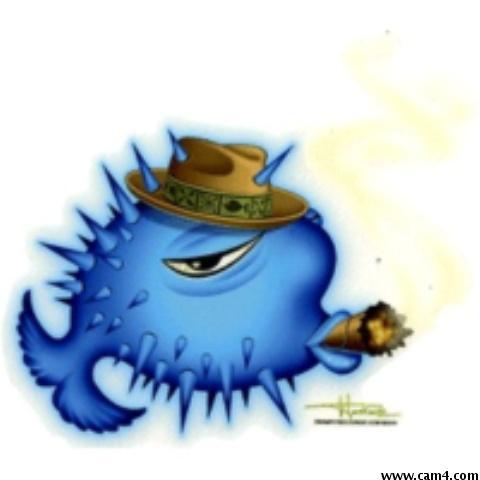pufferphish