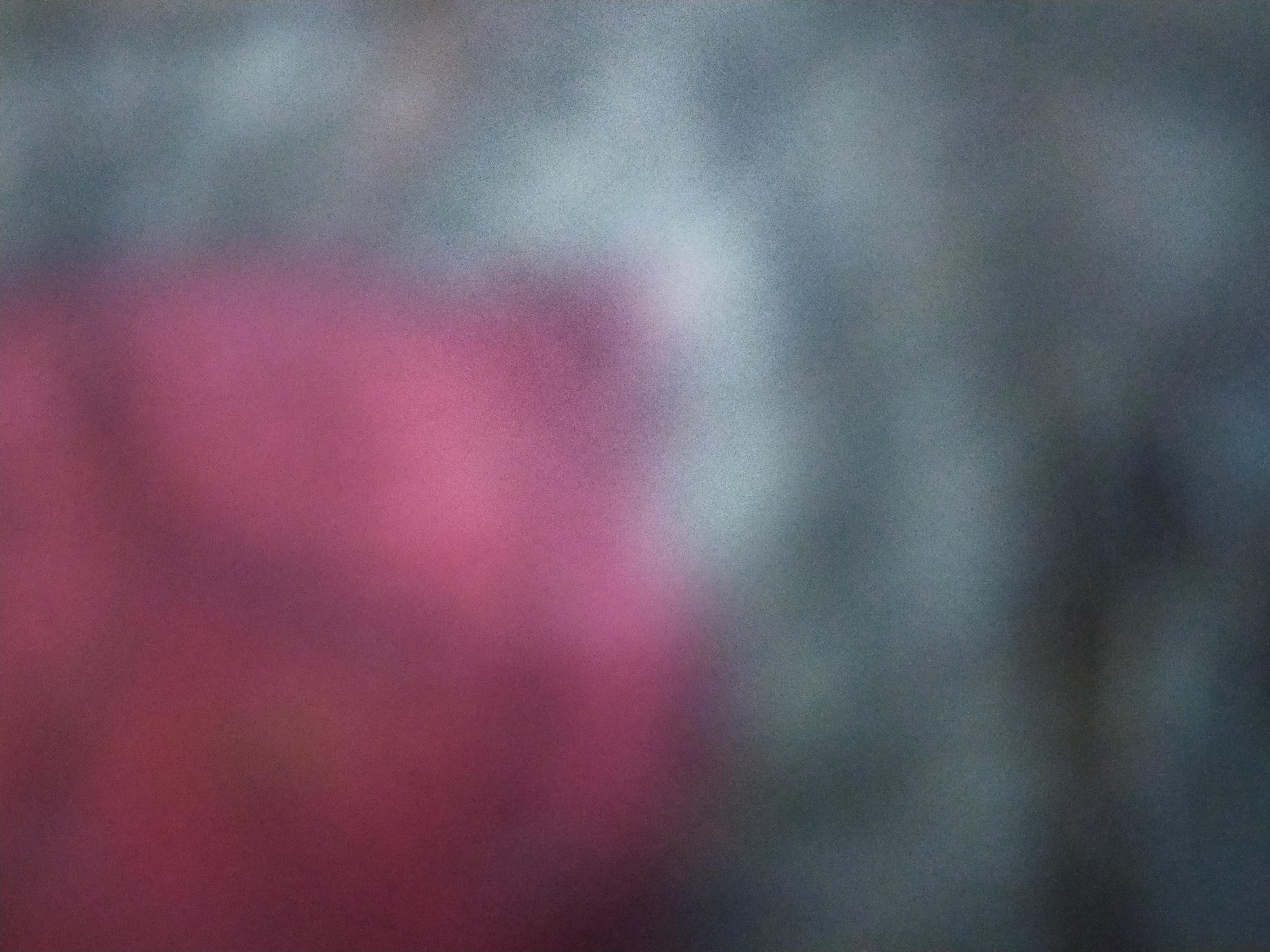 Morfeodinotte webcam model