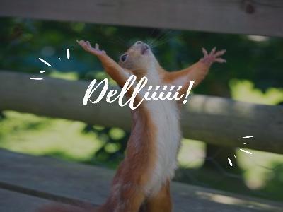 w9Xs7_1195000 webcam bărbat live din România